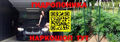гашиш Гай