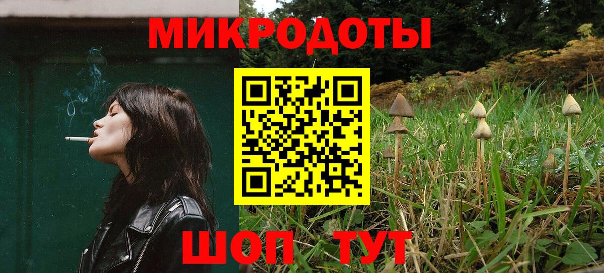 Киселёвск  Галлюциногенные грибы Cubensis  Вход с VPN 