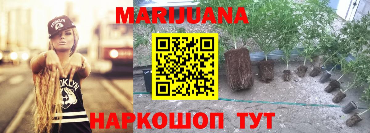 Конопля Amnesia  Вход с VPN  Киселёвск  Шишки марихуана конопля 